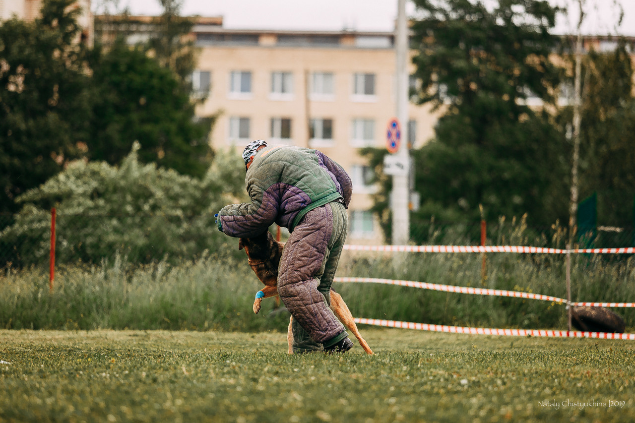 Соревнования БРР. Фотограф-анималист Наталия Чистюхина в г. Сосновый Бор и ЛО