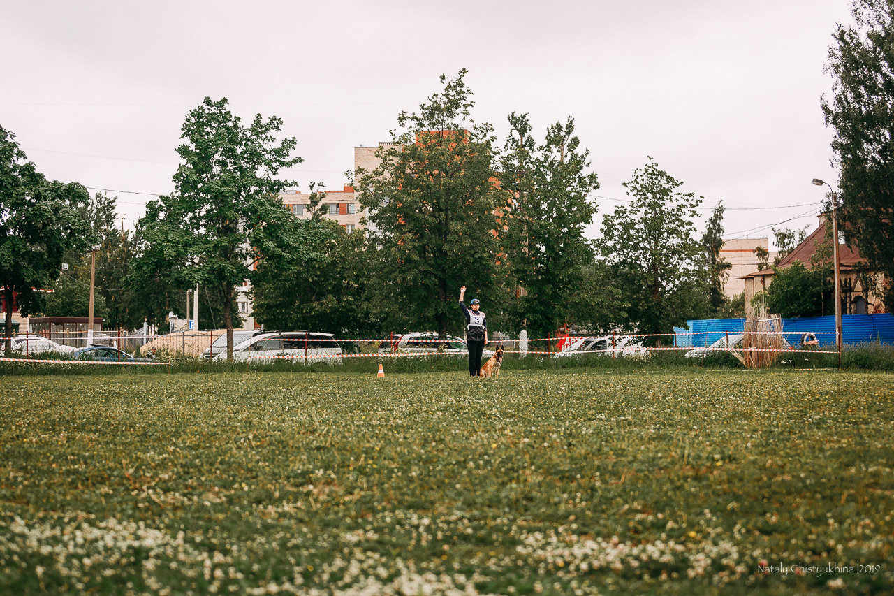Соревнования БРР. Фотограф-анималист Наталия Чистюхина в г. Сосновый Бор и ЛО