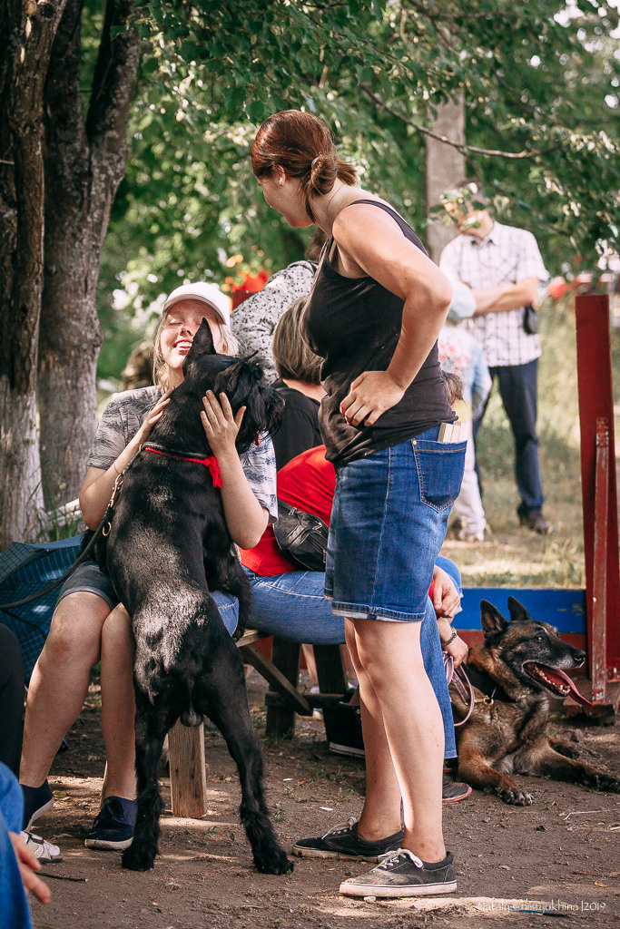 Соревнования по мондьорингу. Фотограф-анималист Наталия Чистюхина в г. Сосновый Бор и ЛО