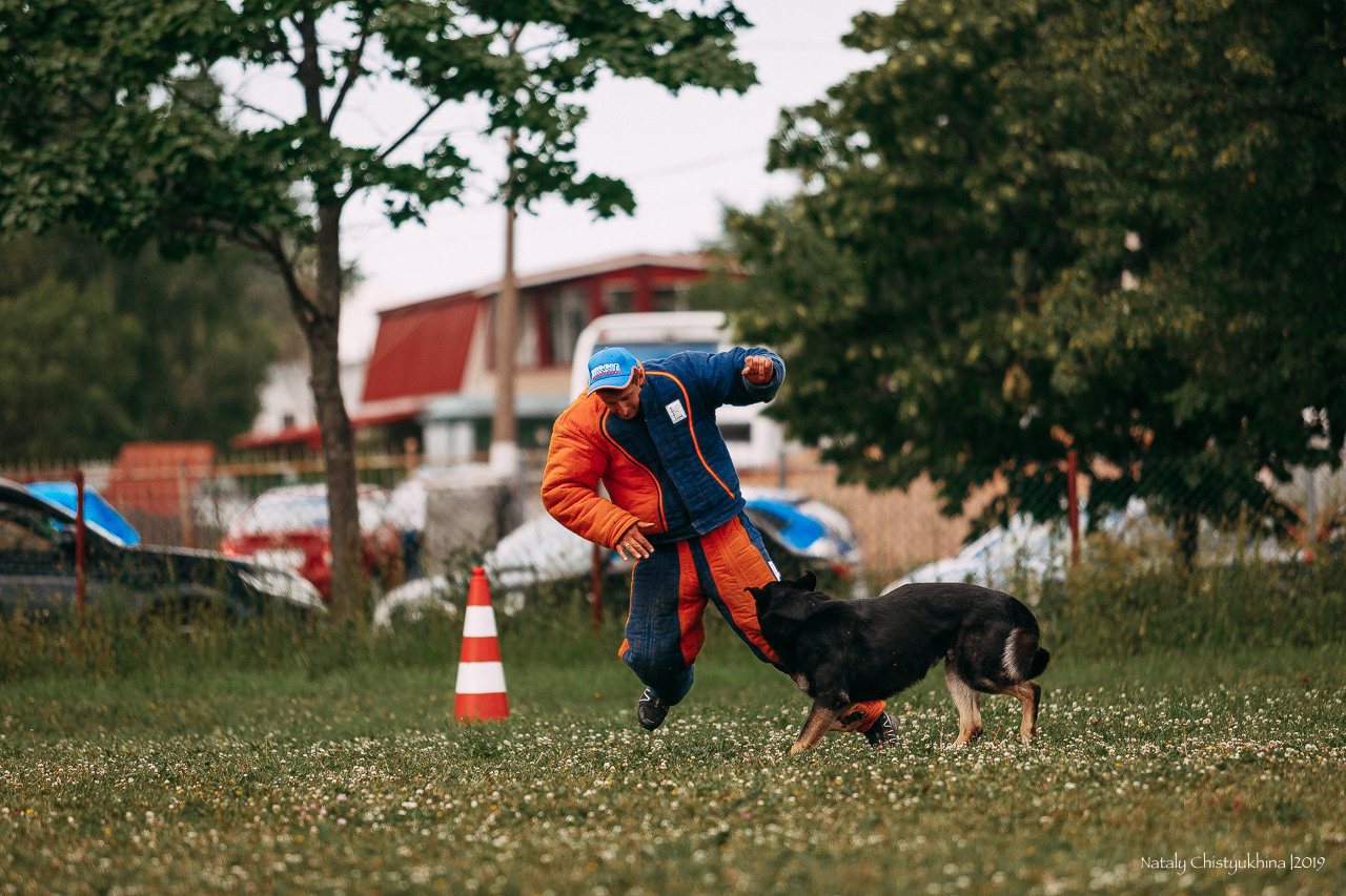 Соревнования по мондьорингу. Фотограф-анималист Наталия Чистюхина в г. Сосновый Бор и ЛО