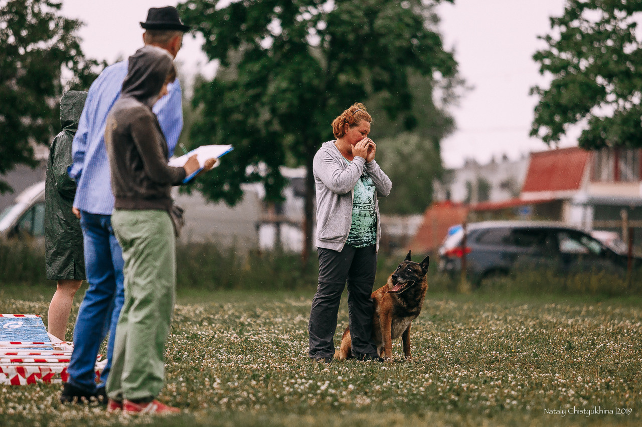 Соревнования по мондьорингу. Фотограф-анималист Наталия Чистюхина в г. Сосновый Бор и ЛО