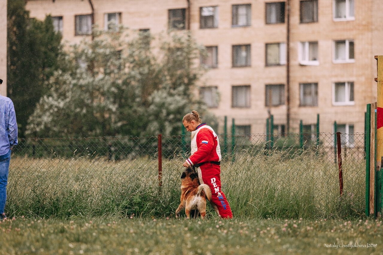 Соревнования по мондьорингу. Фотограф-анималист Наталия Чистюхина в г. Сосновый Бор и ЛО