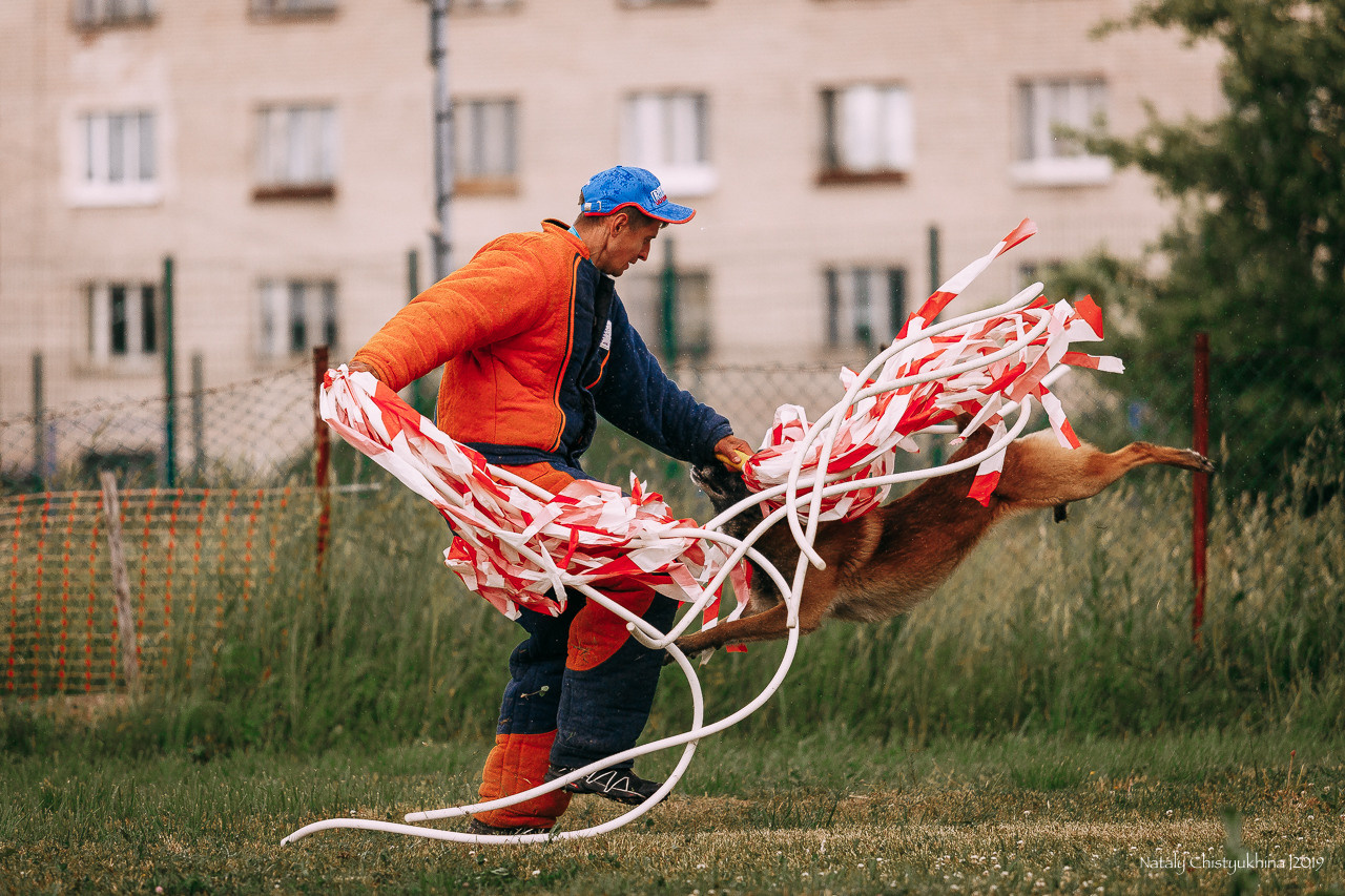 Соревнования по мондьорингу. Фотограф-анималист Наталия Чистюхина в г. Сосновый Бор и ЛО