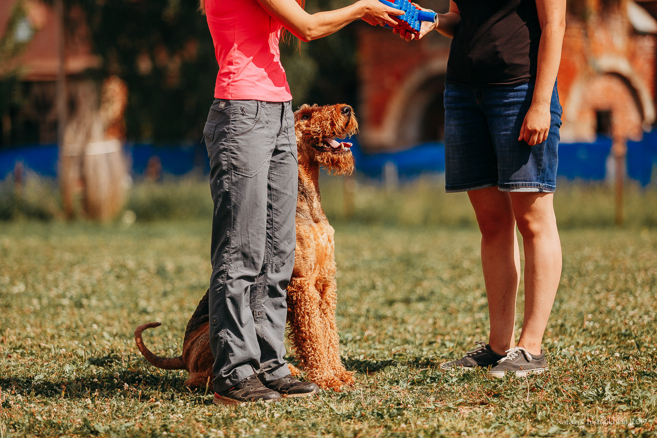 Соревнования по мондьорингу. Фотограф-анималист Наталия Чистюхина в г. Сосновый Бор и ЛО