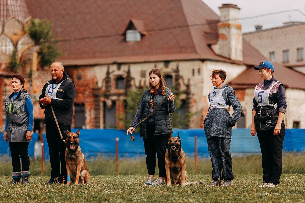 Соревнования БРР. Фотограф-анималист Наталия Чистюхина в г. Сосновый Бор и ЛО