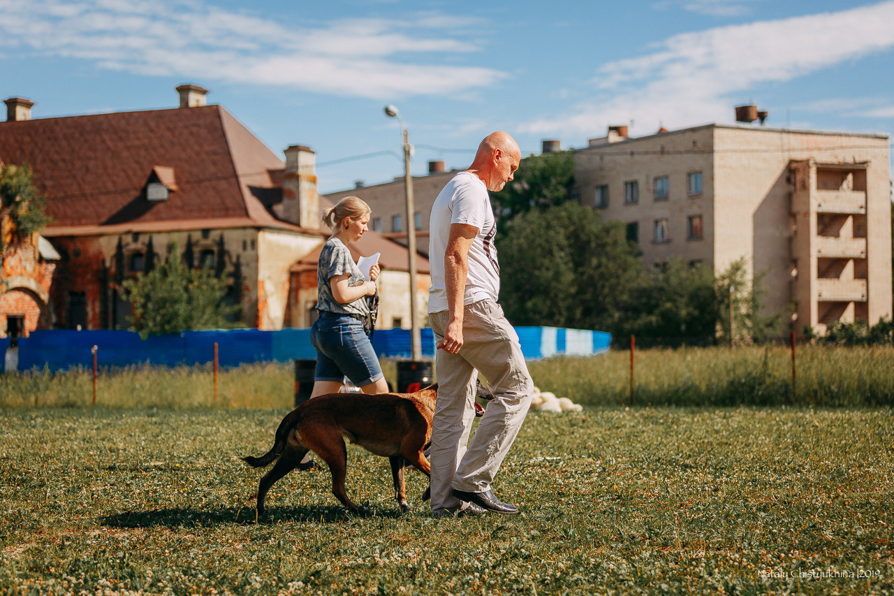 Соревнования по мондьорингу. Фотограф-анималист Наталия Чистюхина в г. Сосновый Бор и ЛО