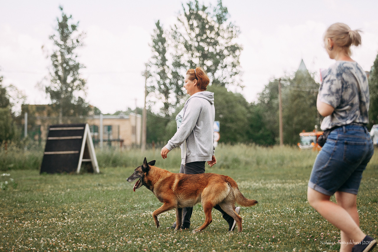 Соревнования по мондьорингу. Фотограф-анималист Наталия Чистюхина в г. Сосновый Бор и ЛО