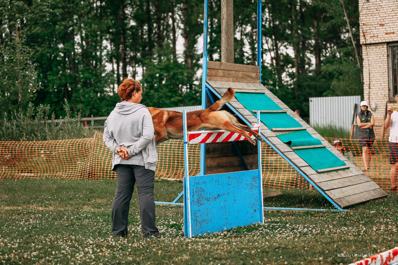 Соревнования по мондьорингу. Фотограф-анималист Наталия Чистюхина в г. Сосновый Бор и ЛО