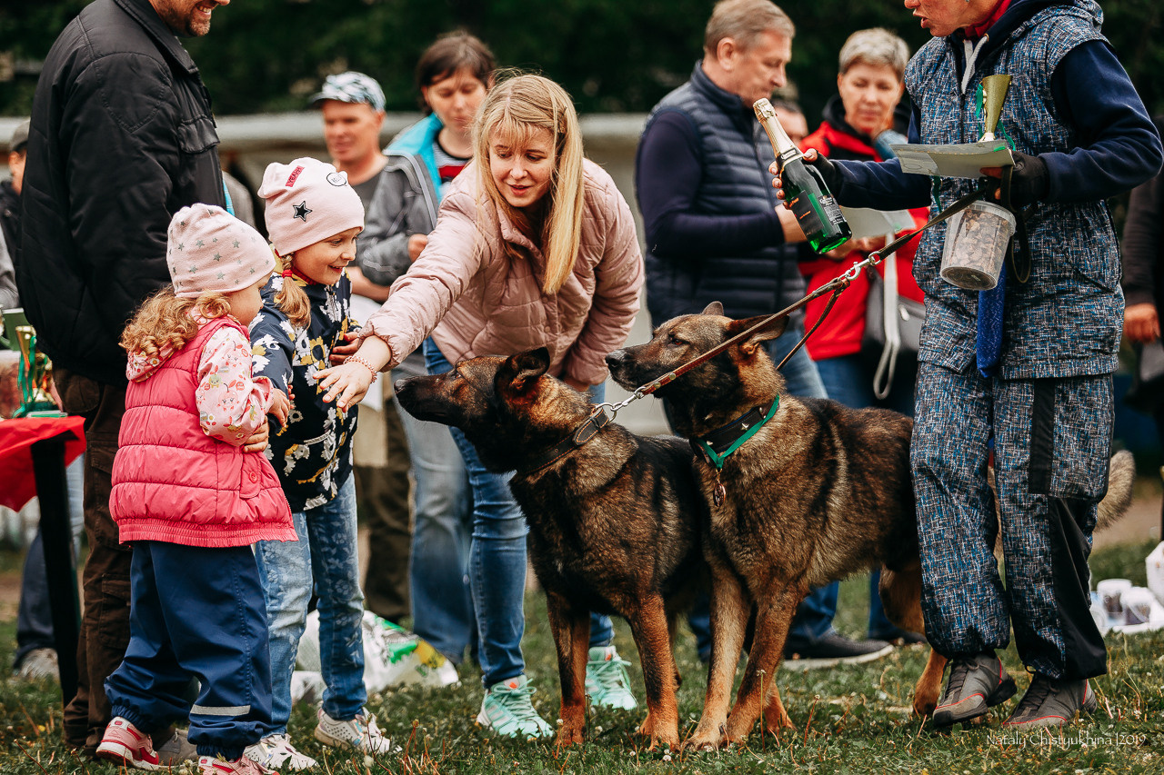 Соревнования БРР. Фотограф-анималист Наталия Чистюхина в г. Сосновый Бор и ЛО