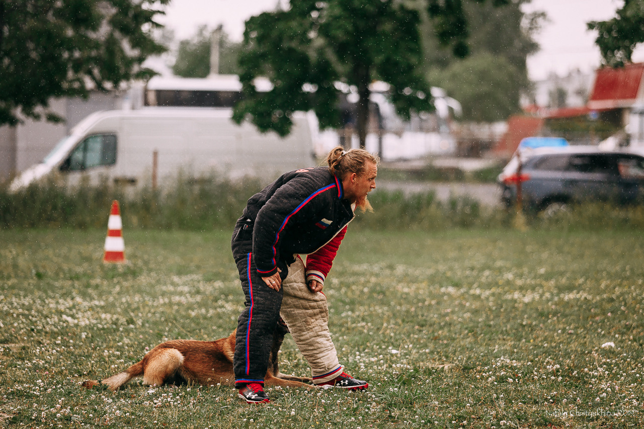 Соревнования по мондьорингу. Фотограф-анималист Наталия Чистюхина в г. Сосновый Бор и ЛО