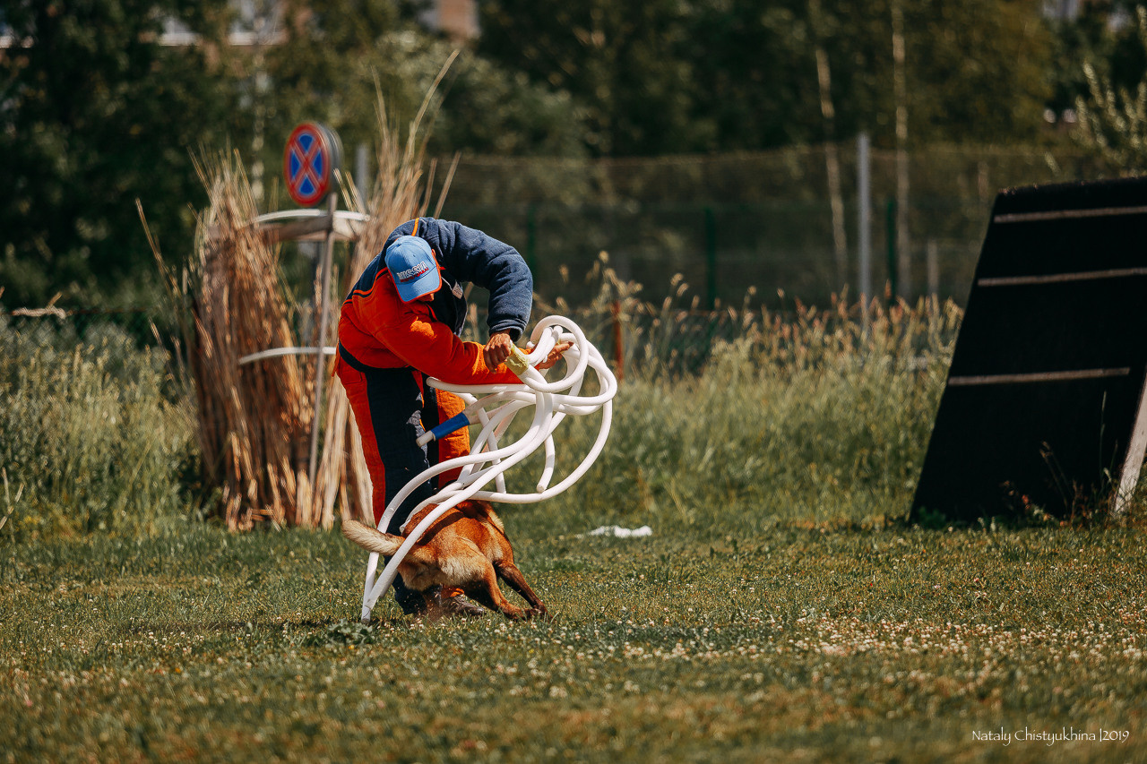 Соревнования по мондьорингу. Фотограф-анималист Наталия Чистюхина в г. Сосновый Бор и ЛО
