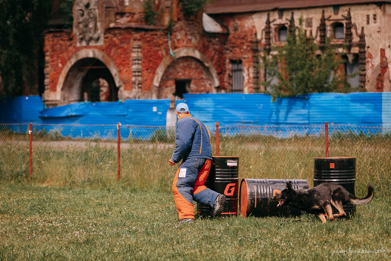 Соревнования по мондьорингу. Фотограф-анималист Наталия Чистюхина в г. Сосновый Бор и ЛО