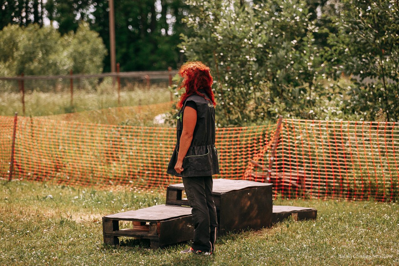 Соревнования по мондьорингу. Фотограф-анималист Наталия Чистюхина в г. Сосновый Бор и ЛО