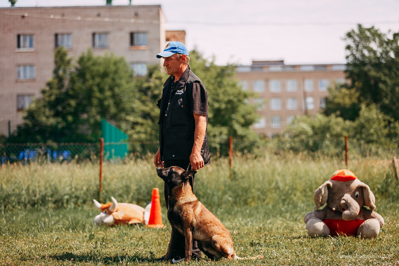 Соревнования по мондьорингу. Фотограф-анималист Наталия Чистюхина в г. Сосновый Бор и ЛО