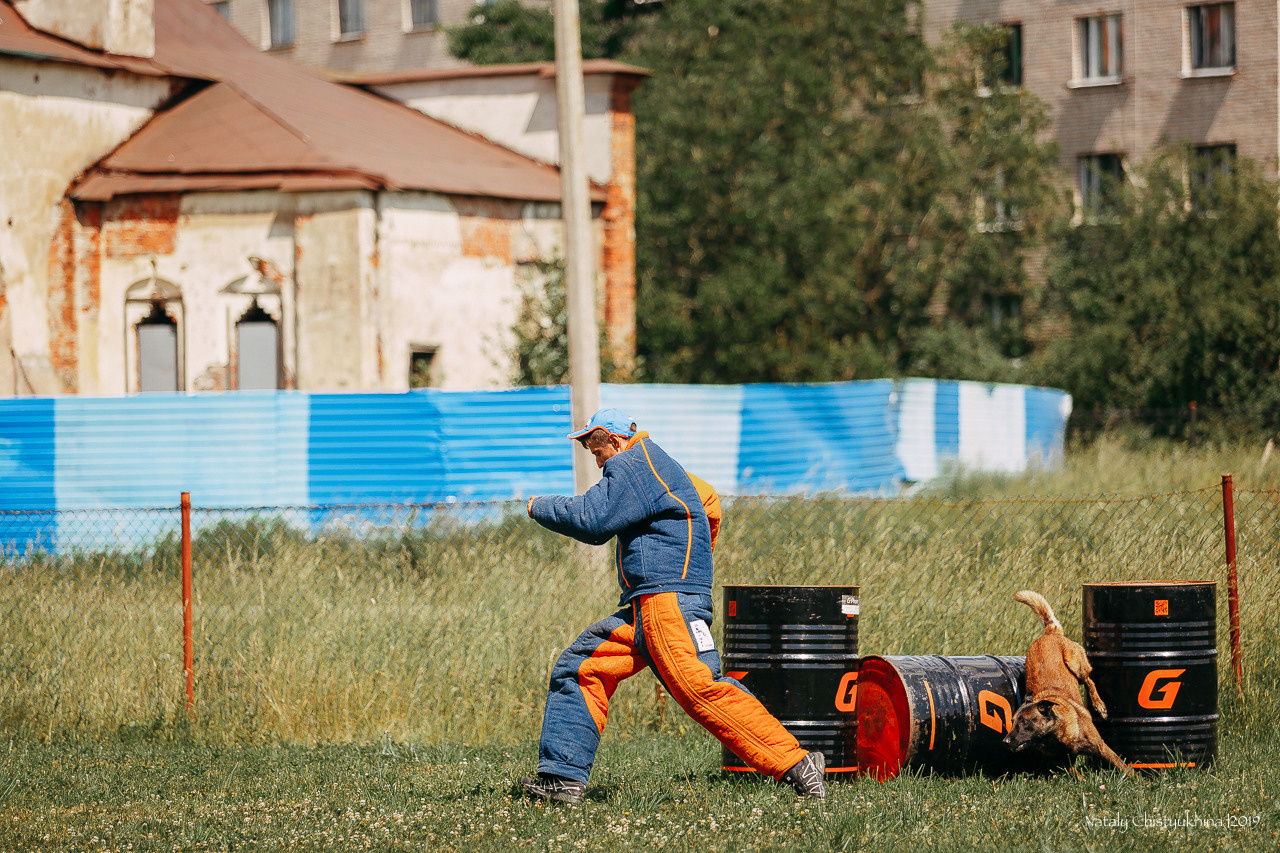 Соревнования по мондьорингу. Фотограф-анималист Наталия Чистюхина в г. Сосновый Бор и ЛО