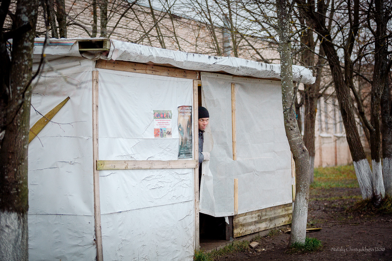 Семинары по мондио. Фотограф-анималист Наталия Чистюхина в г. Сосновый Бор и ЛО