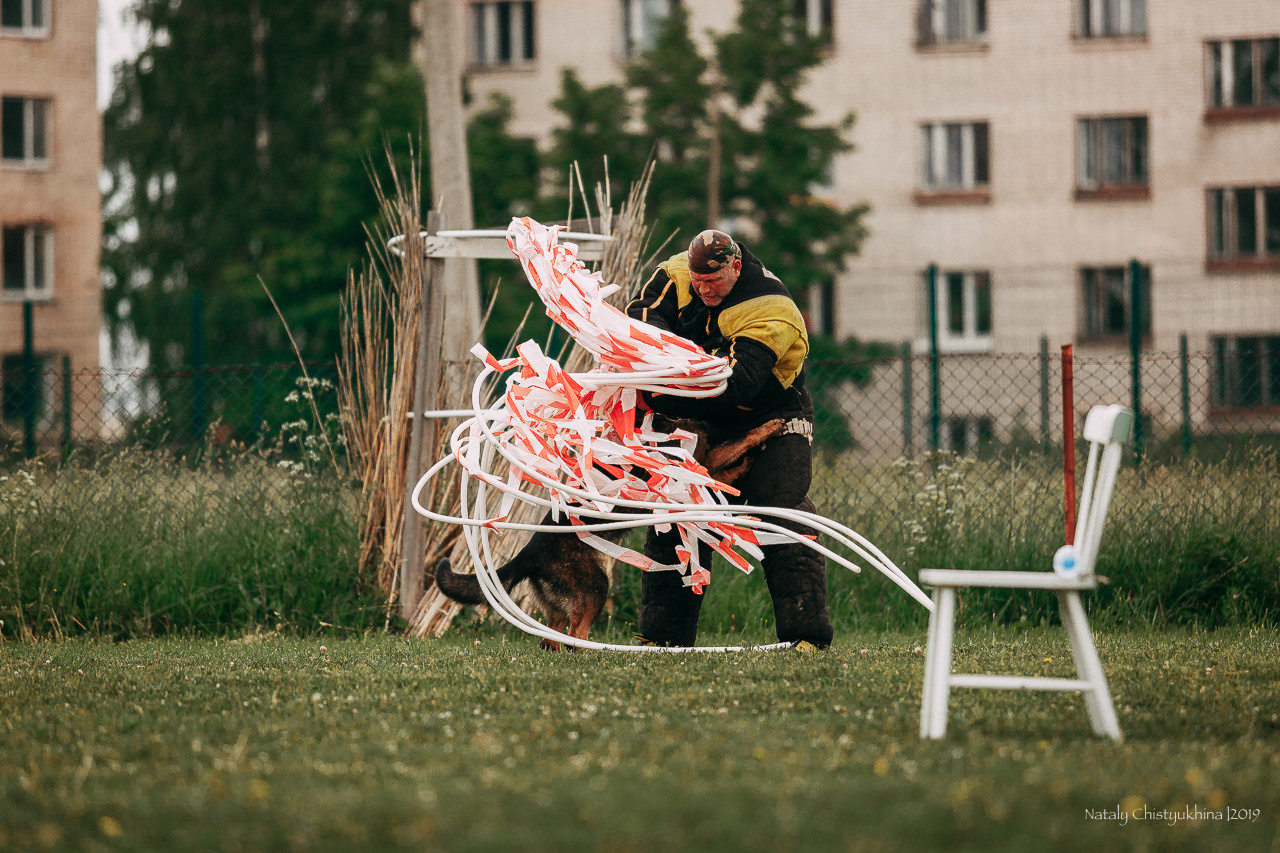 Соревнования БРР. Фотограф-анималист Наталия Чистюхина в г. Сосновый Бор и ЛО