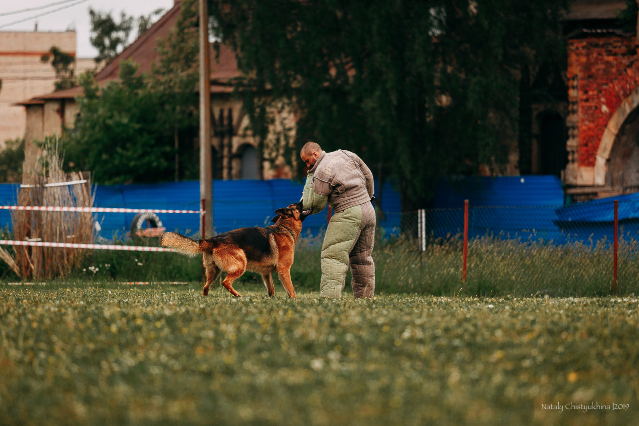 Соревнования БРР. Фотограф-анималист Наталия Чистюхина в г. Сосновый Бор и ЛО