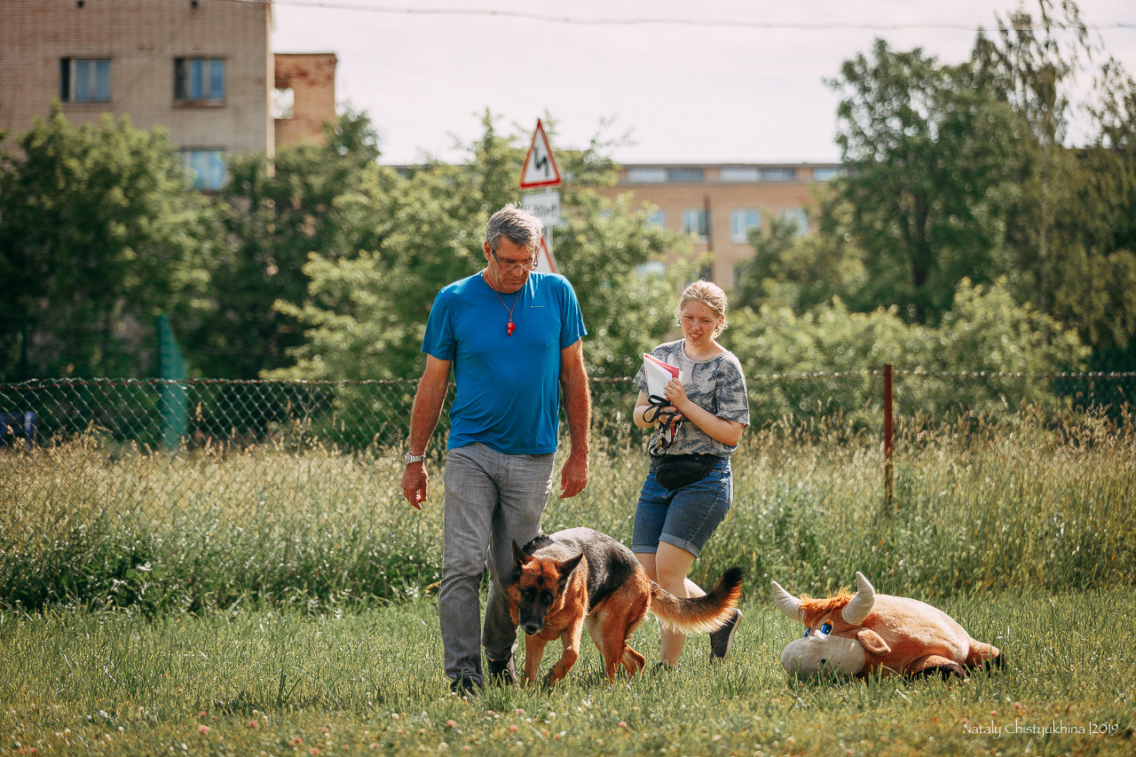Соревнования по мондьорингу. Фотограф-анималист Наталия Чистюхина в г. Сосновый Бор и ЛО