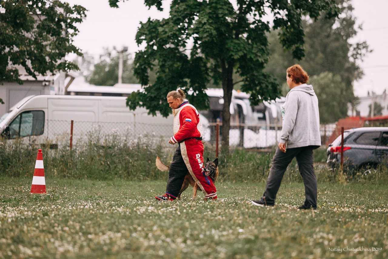 Соревнования по мондьорингу. Фотограф-анималист Наталия Чистюхина в г. Сосновый Бор и ЛО