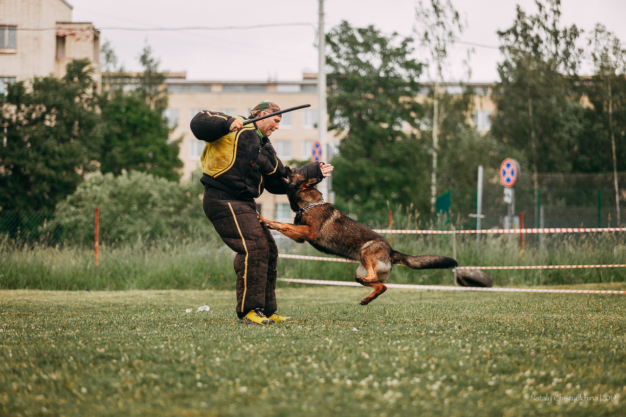 Соревнования БРР. Фотограф-анималист Наталия Чистюхина в г. Сосновый Бор и ЛО