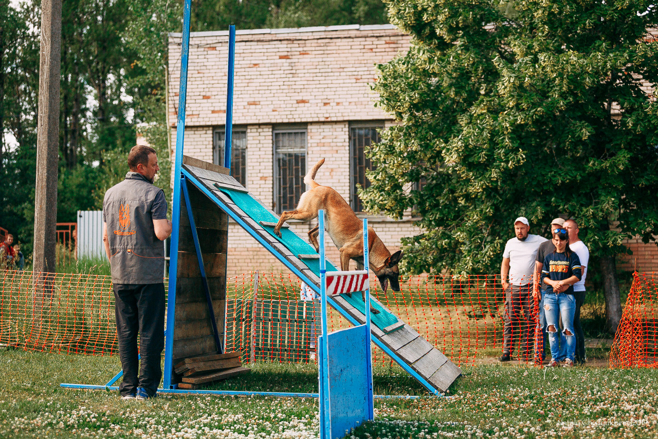 Соревнования по мондьорингу. Фотограф-анималист Наталия Чистюхина в г. Сосновый Бор и ЛО