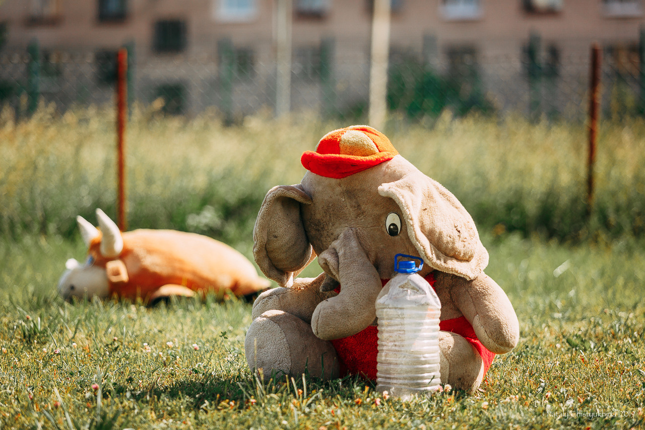 Соревнования по мондьорингу. Фотограф-анималист Наталия Чистюхина в г. Сосновый Бор и ЛО
