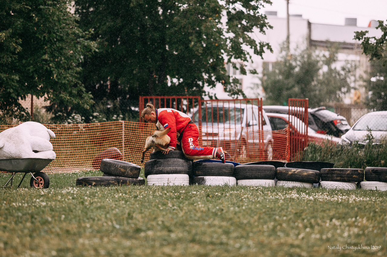 Соревнования по мондьорингу. Фотограф-анималист Наталия Чистюхина в г. Сосновый Бор и ЛО