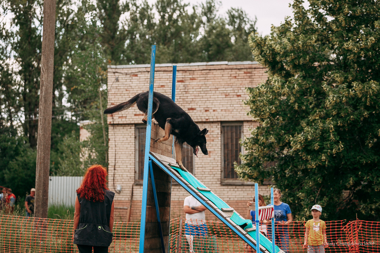 Соревнования по мондьорингу. Фотограф-анималист Наталия Чистюхина в г. Сосновый Бор и ЛО