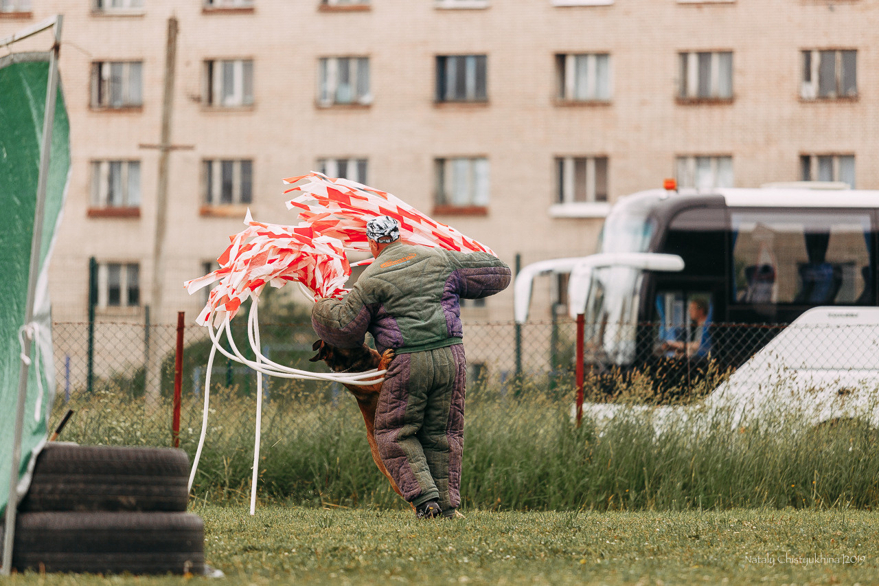 Соревнования БРР. Фотограф-анималист Наталия Чистюхина в г. Сосновый Бор и ЛО