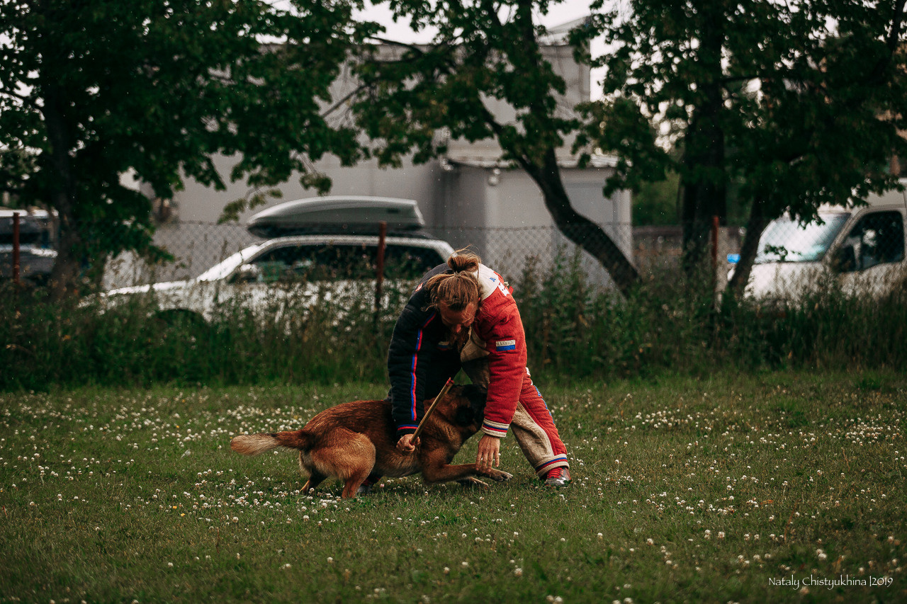 Соревнования по мондьорингу. Фотограф-анималист Наталия Чистюхина в г. Сосновый Бор и ЛО