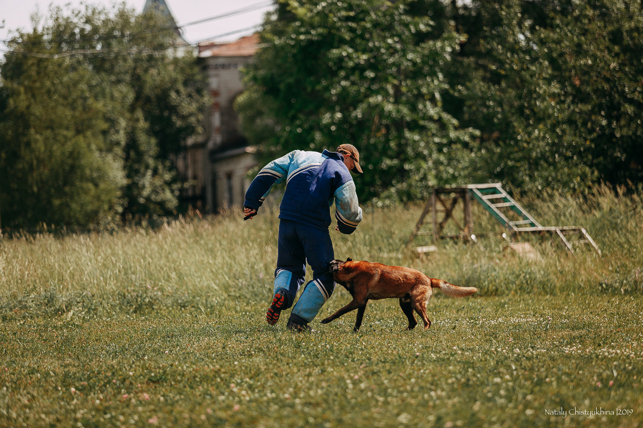 Соревнования по мондьорингу. Фотограф-анималист Наталия Чистюхина в г. Сосновый Бор и ЛО