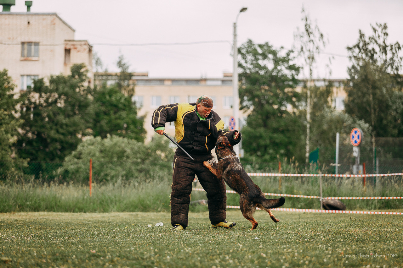 Соревнования БРР. Фотограф-анималист Наталия Чистюхина в г. Сосновый Бор и ЛО