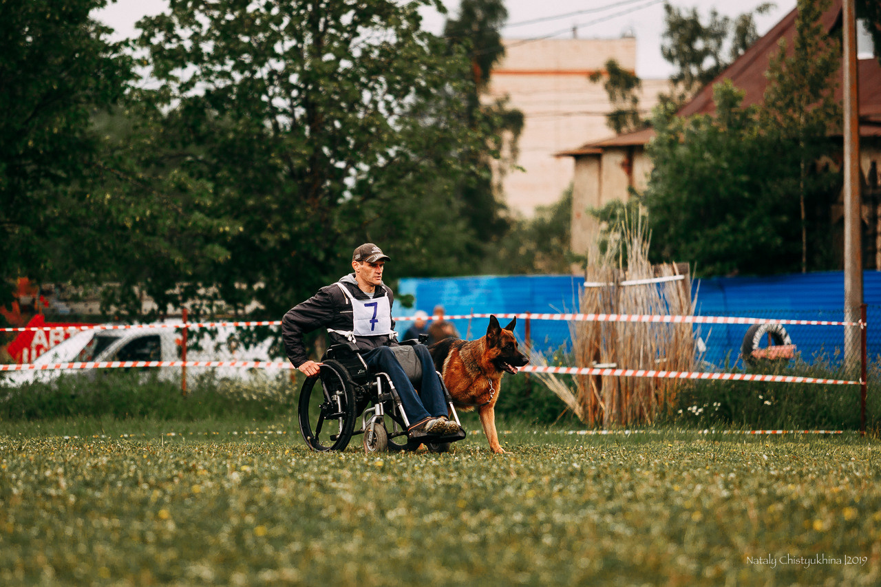 Соревнования БРР. Фотограф-анималист Наталия Чистюхина в г. Сосновый Бор и ЛО