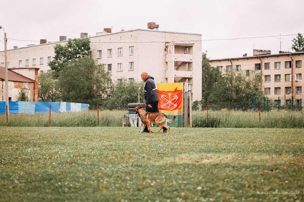 Соревнования БРР. Фотограф-анималист Наталия Чистюхина в г. Сосновый Бор и ЛО