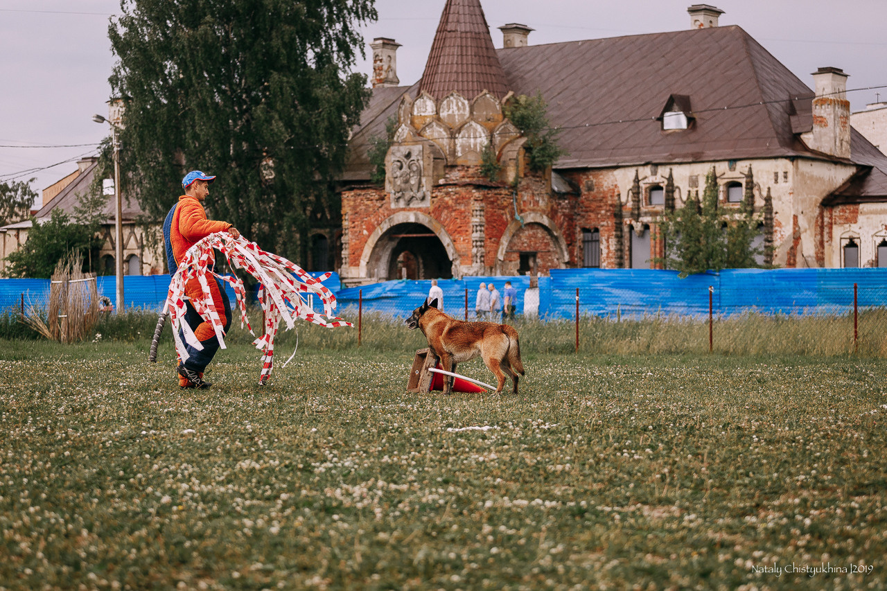 Соревнования по мондьорингу. Фотограф-анималист Наталия Чистюхина в г. Сосновый Бор и ЛО