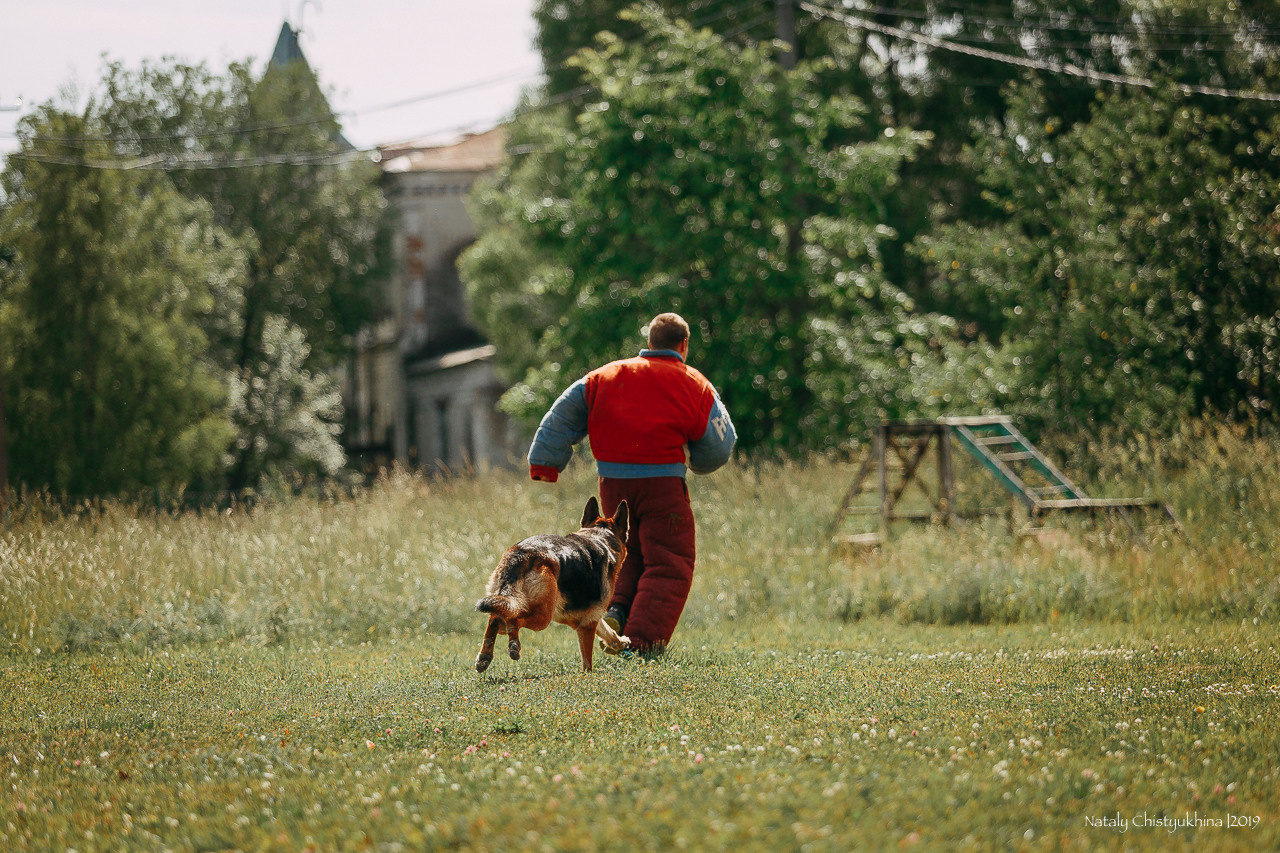 Соревнования по мондьорингу. Фотограф-анималист Наталия Чистюхина в г. Сосновый Бор и ЛО