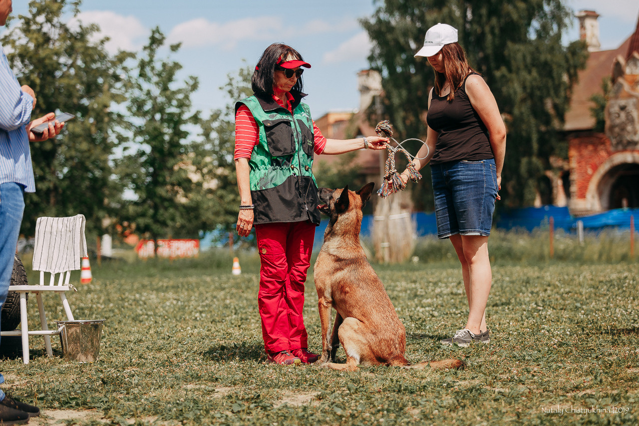 Соревнования по мондьорингу. Фотограф-анималист Наталия Чистюхина в г. Сосновый Бор и ЛО
