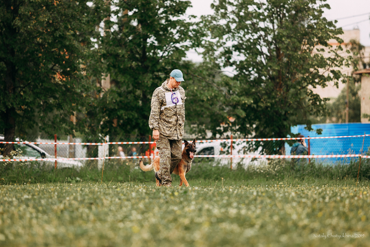 Соревнования БРР. Фотограф-анималист Наталия Чистюхина в г. Сосновый Бор и ЛО