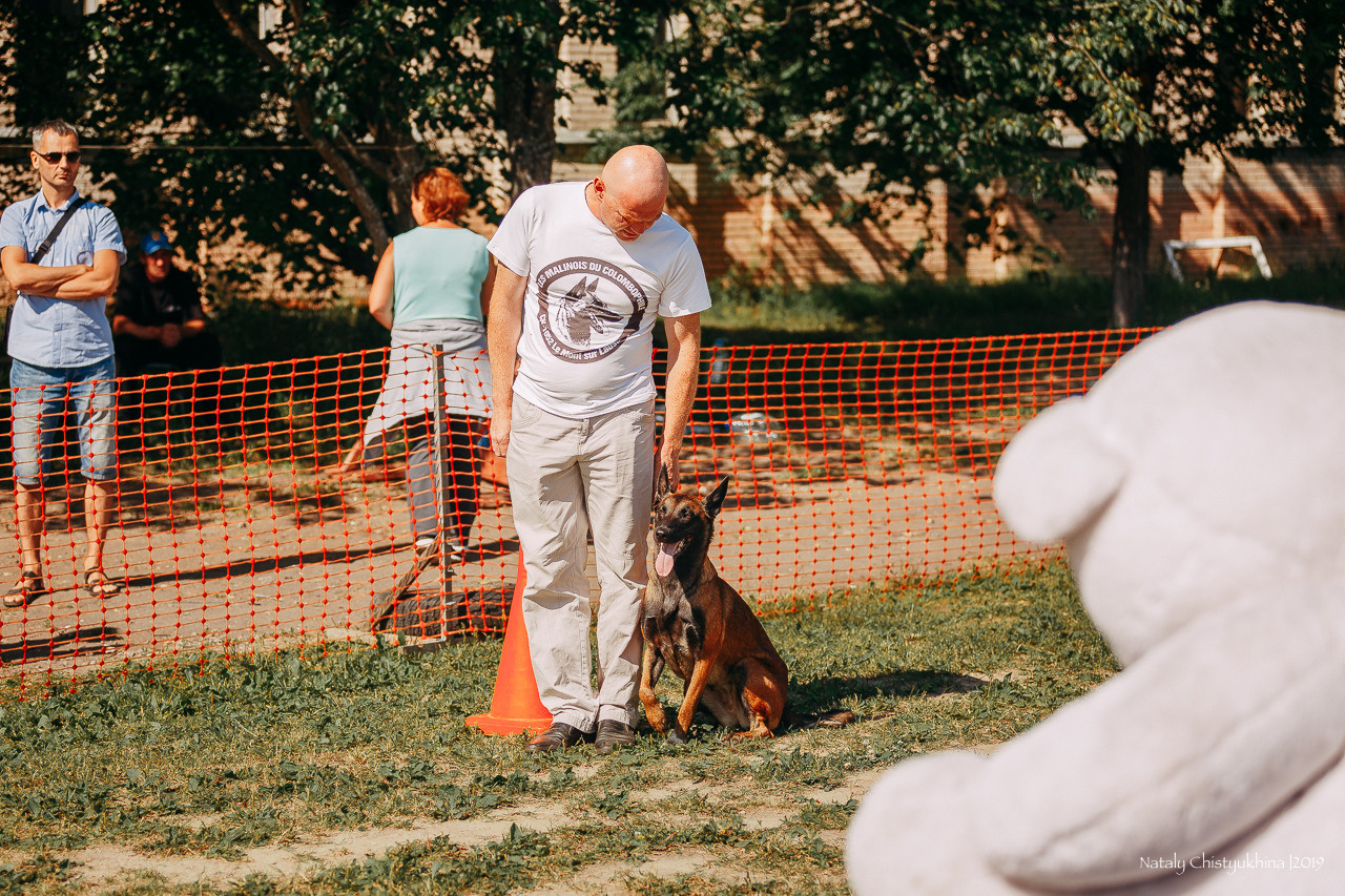 Соревнования по мондьорингу. Фотограф-анималист Наталия Чистюхина в г. Сосновый Бор и ЛО