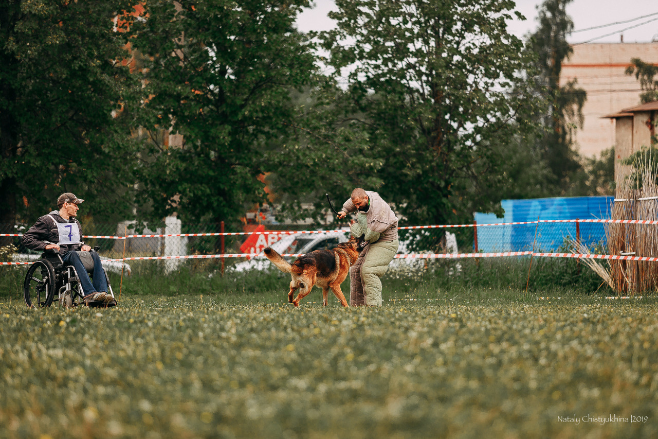 Соревнования БРР. Фотограф-анималист Наталия Чистюхина в г. Сосновый Бор и ЛО
