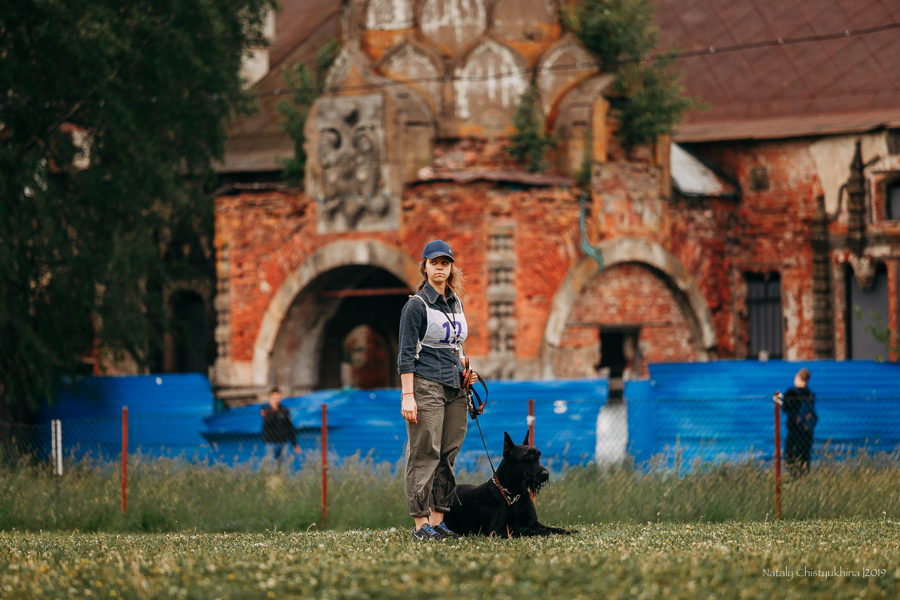 Соревнования БРР. Фотограф-анималист Наталия Чистюхина в г. Сосновый Бор и ЛО
