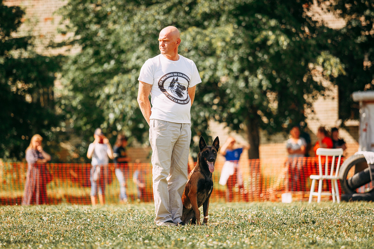 Соревнования по мондьорингу. Фотограф-анималист Наталия Чистюхина в г. Сосновый Бор и ЛО