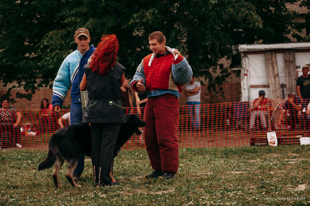 Соревнования по мондьорингу. Фотограф-анималист Наталия Чистюхина в г. Сосновый Бор и ЛО