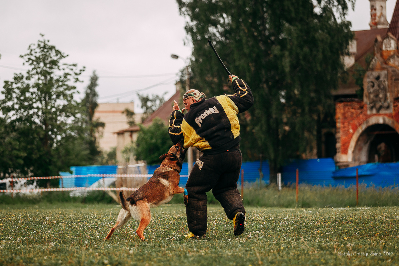 Соревнования БРР. Фотограф-анималист Наталия Чистюхина в г. Сосновый Бор и ЛО