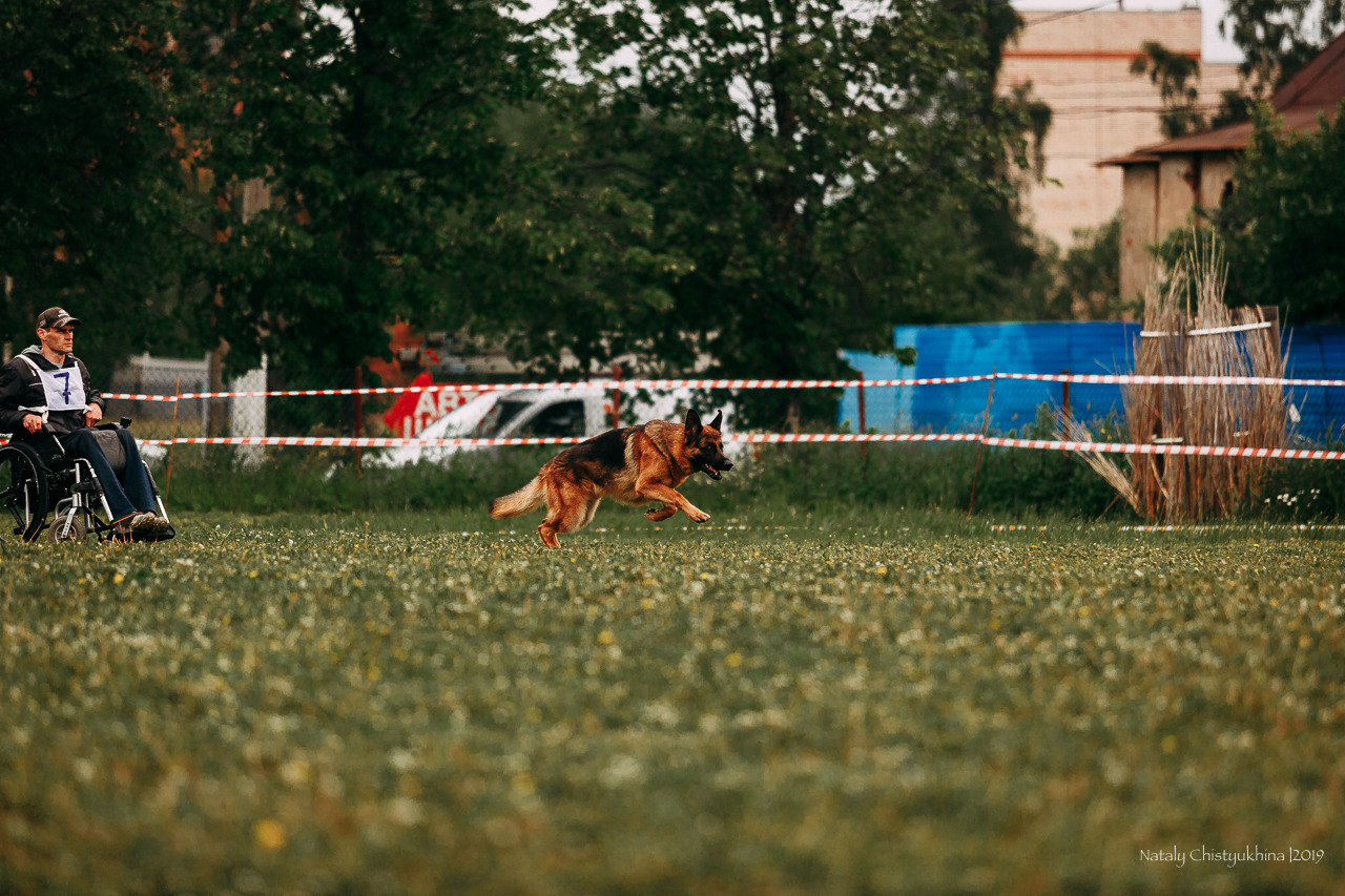 Соревнования БРР. Фотограф-анималист Наталия Чистюхина в г. Сосновый Бор и ЛО