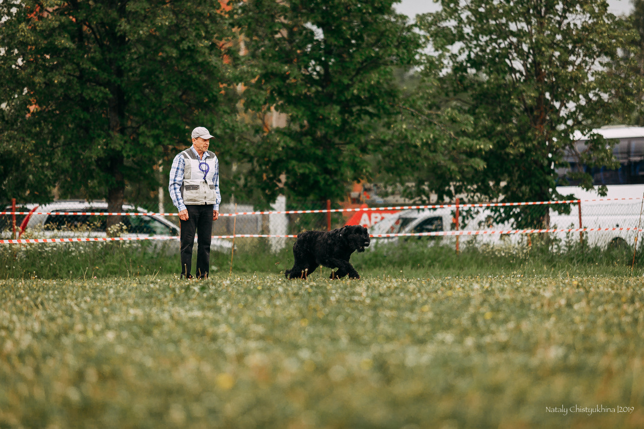 Соревнования БРР. Фотограф-анималист Наталия Чистюхина в г. Сосновый Бор и ЛО