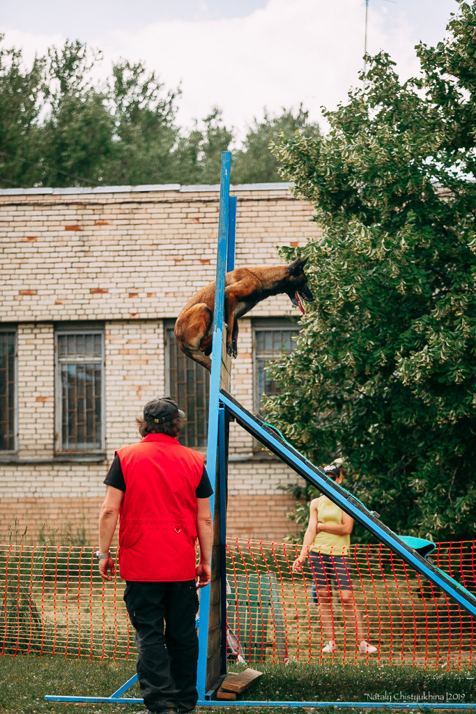 Соревнования по мондьорингу. Фотограф-анималист Наталия Чистюхина в г. Сосновый Бор и ЛО