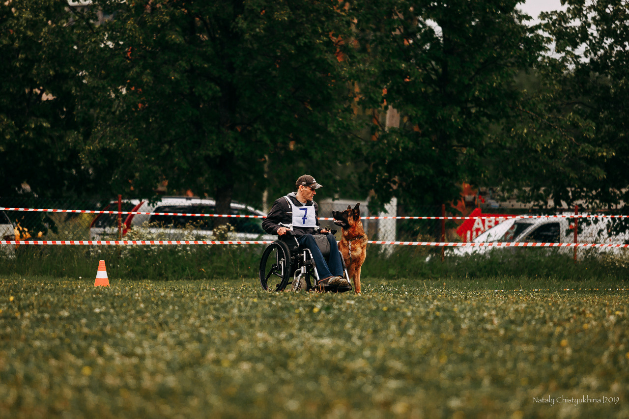 Соревнования БРР. Фотограф-анималист Наталия Чистюхина в г. Сосновый Бор и ЛО