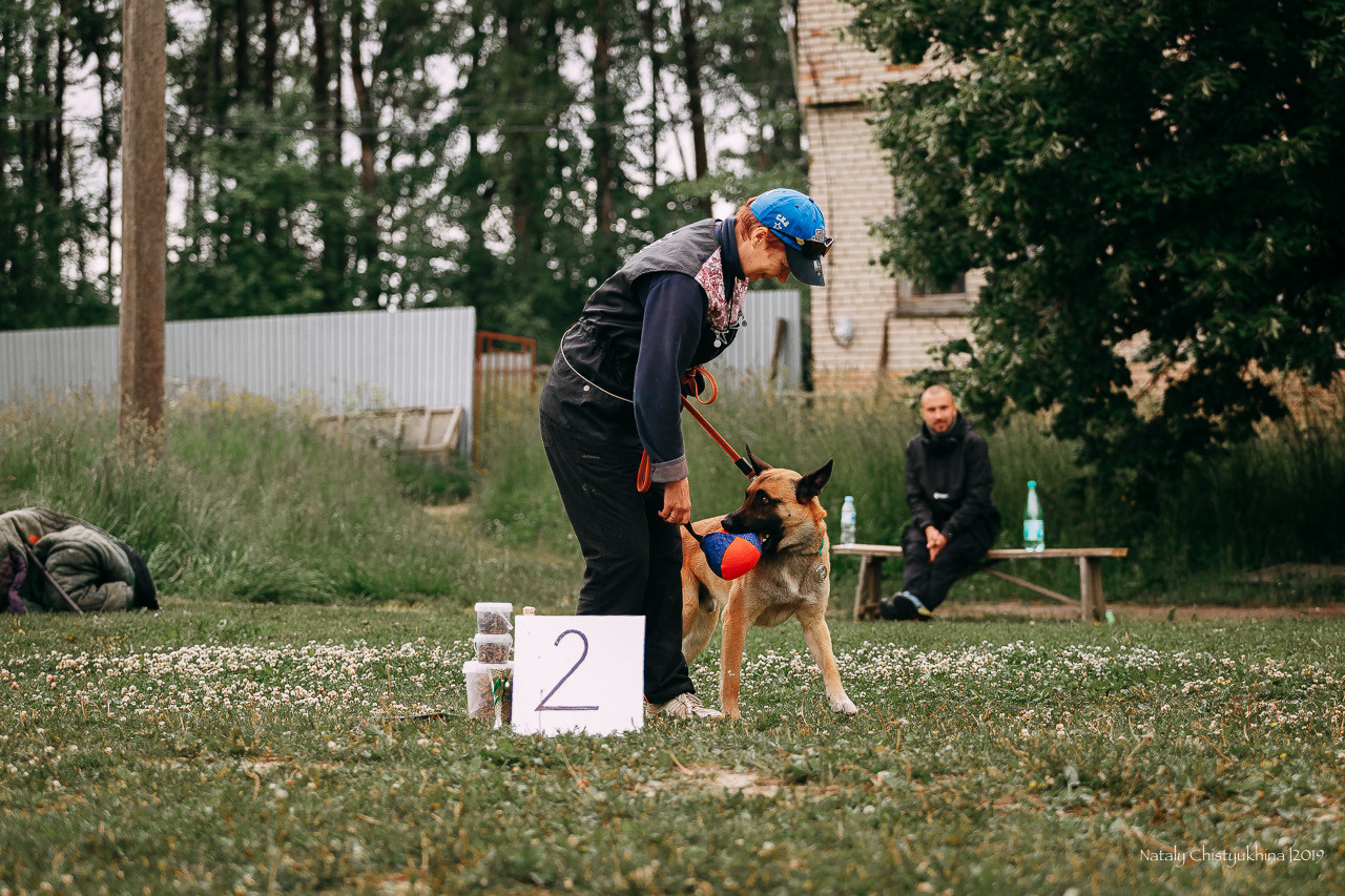 Соревнования БРР. Фотограф-анималист Наталия Чистюхина в г. Сосновый Бор и ЛО